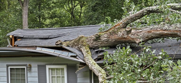 Who is Responsible for a Fallen Tree Removal: Comprehensive Guide