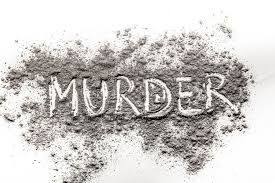 Capital Murder vs First Degree Murder: All You Should Know