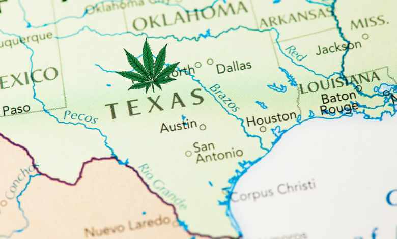 Is THCA Legal in Texas? Understanding the Law Surrounding THCA
