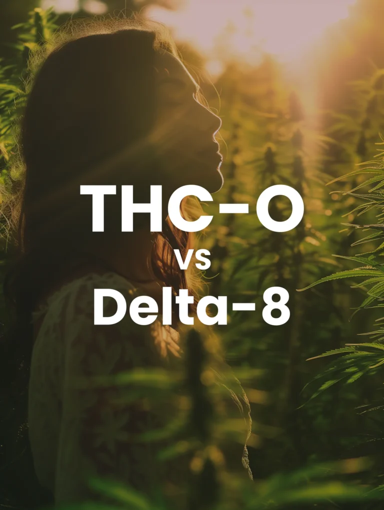 THC O vs Delta 8: What’s the Difference