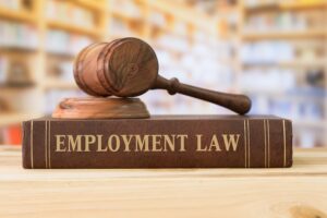 Employment Litigation